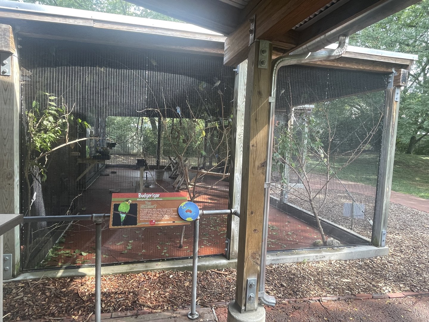 Budgerigar Aviary