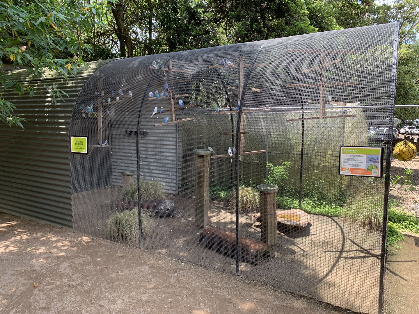Budgerigar Exhibit