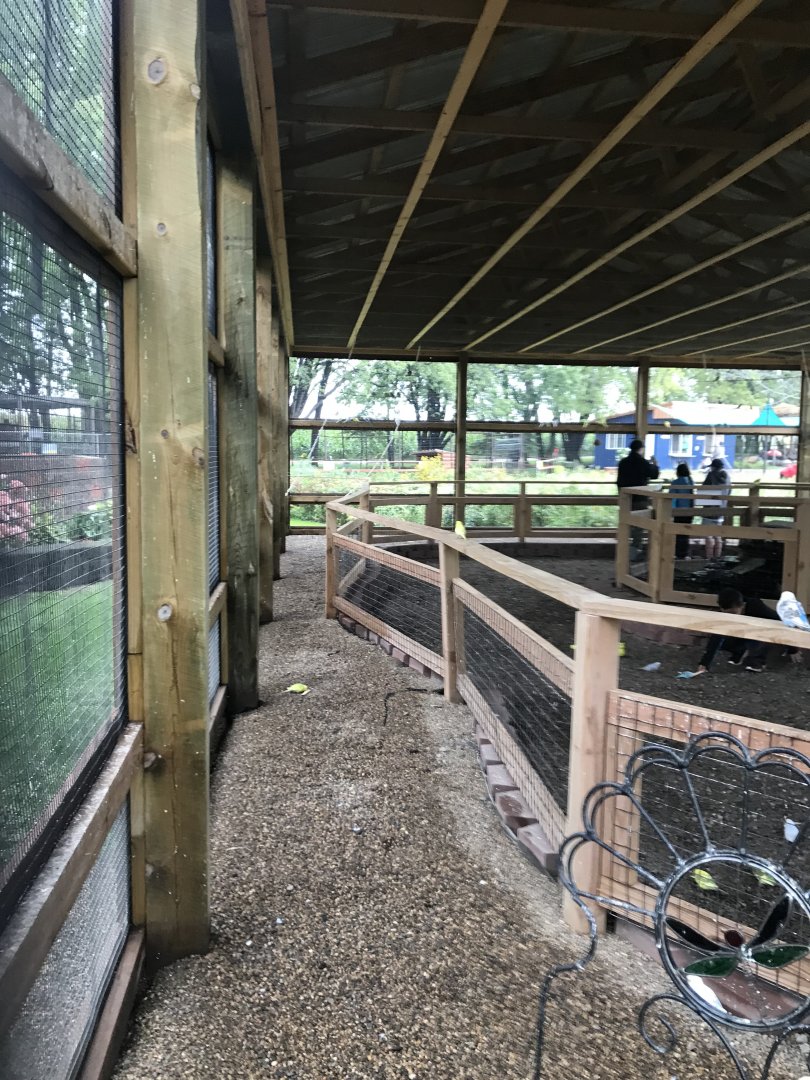 Budgerigar Walk-Through Aviary