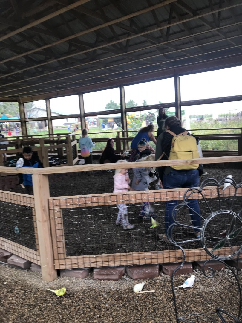 Budgerigar Walk-Through Aviary