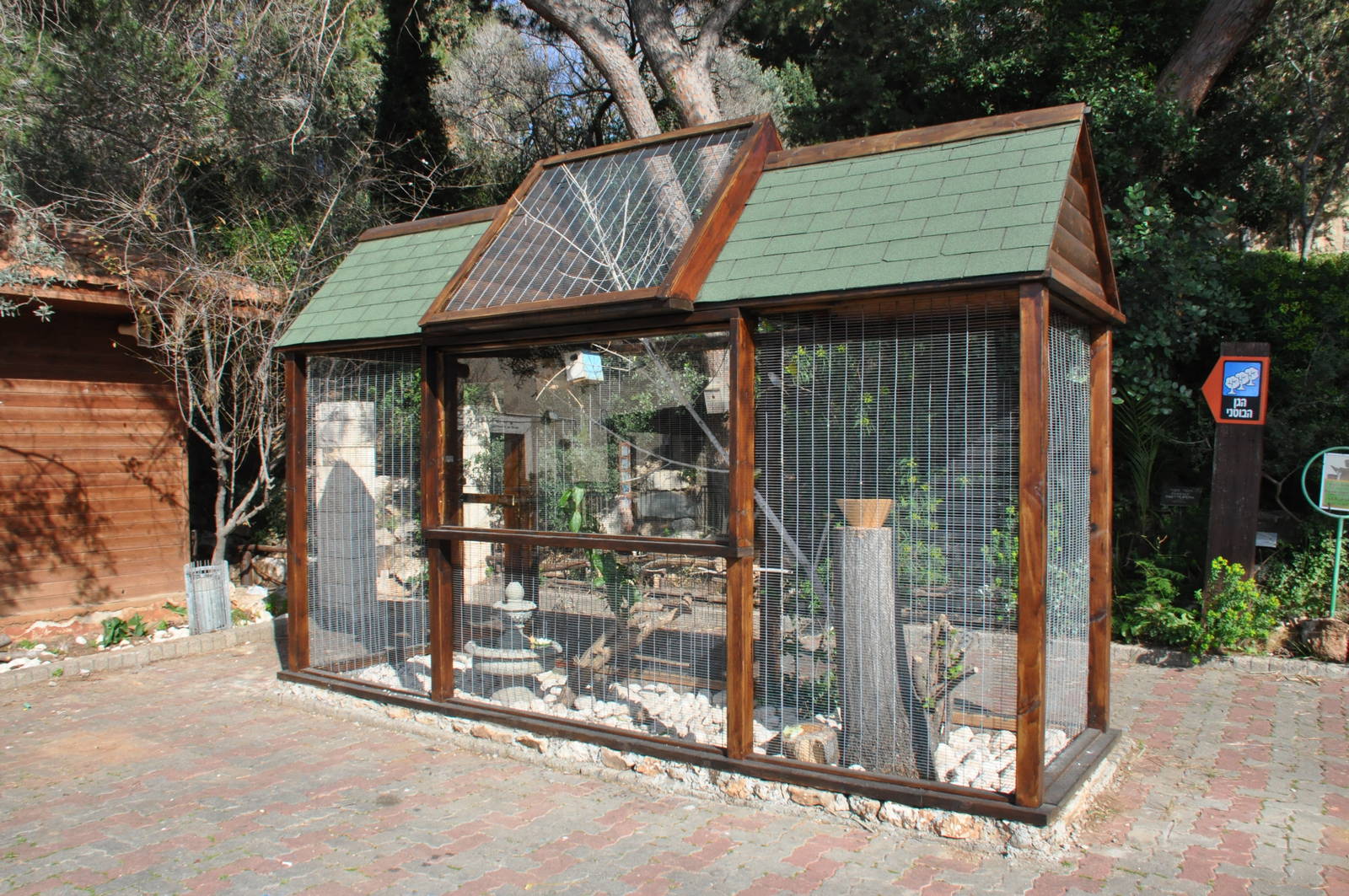 Budgerigars enclosure