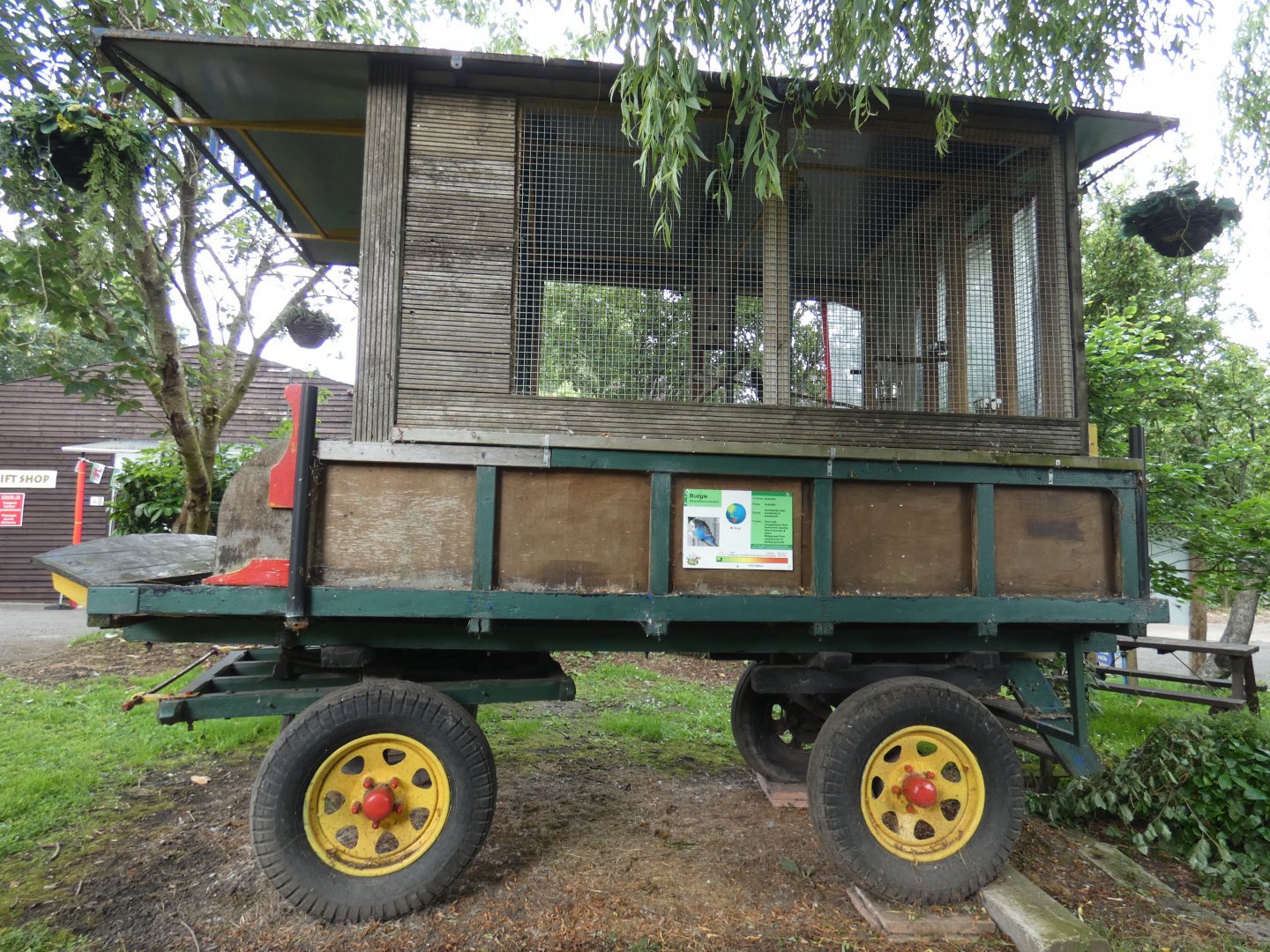 Budgie aviary (Greenacres Animal Park)