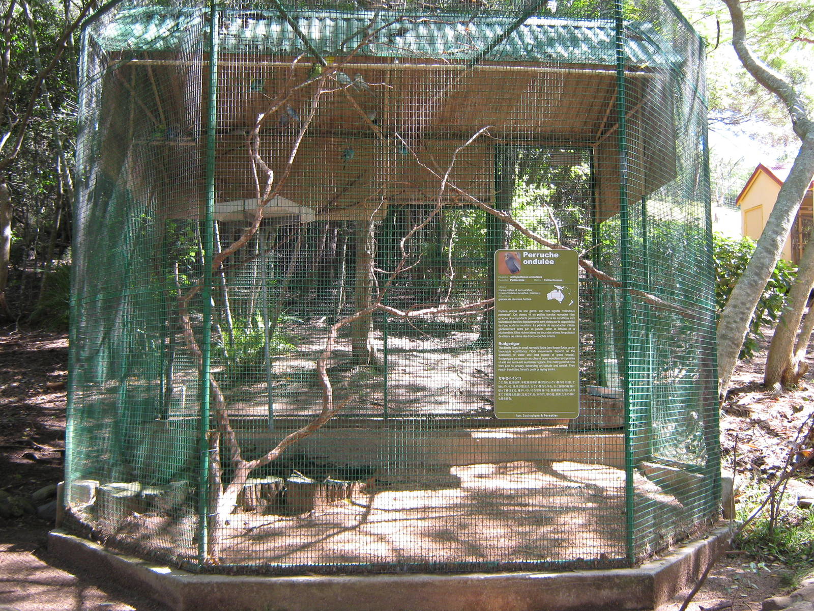 budgie aviary