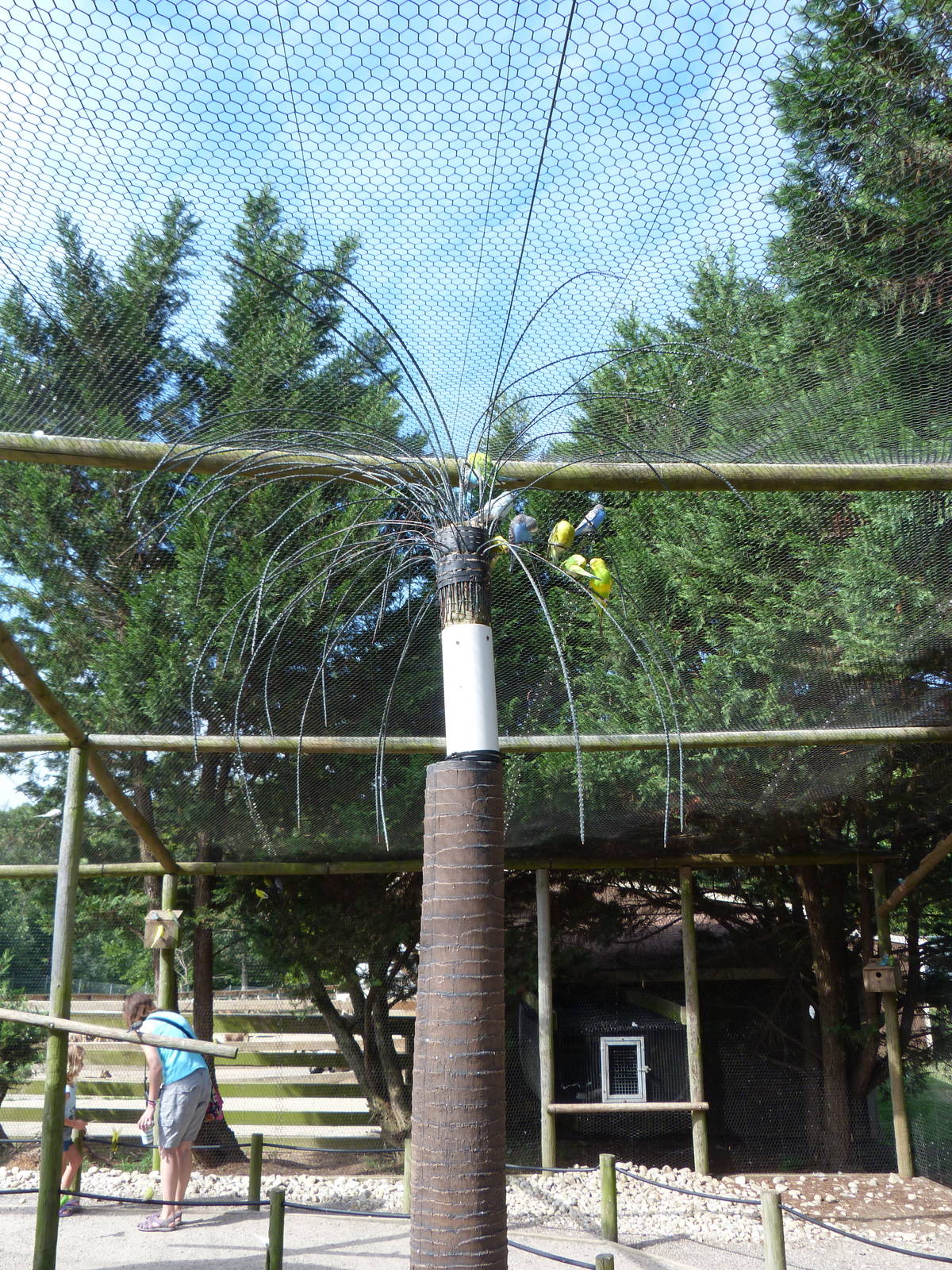 Budgie Aviary