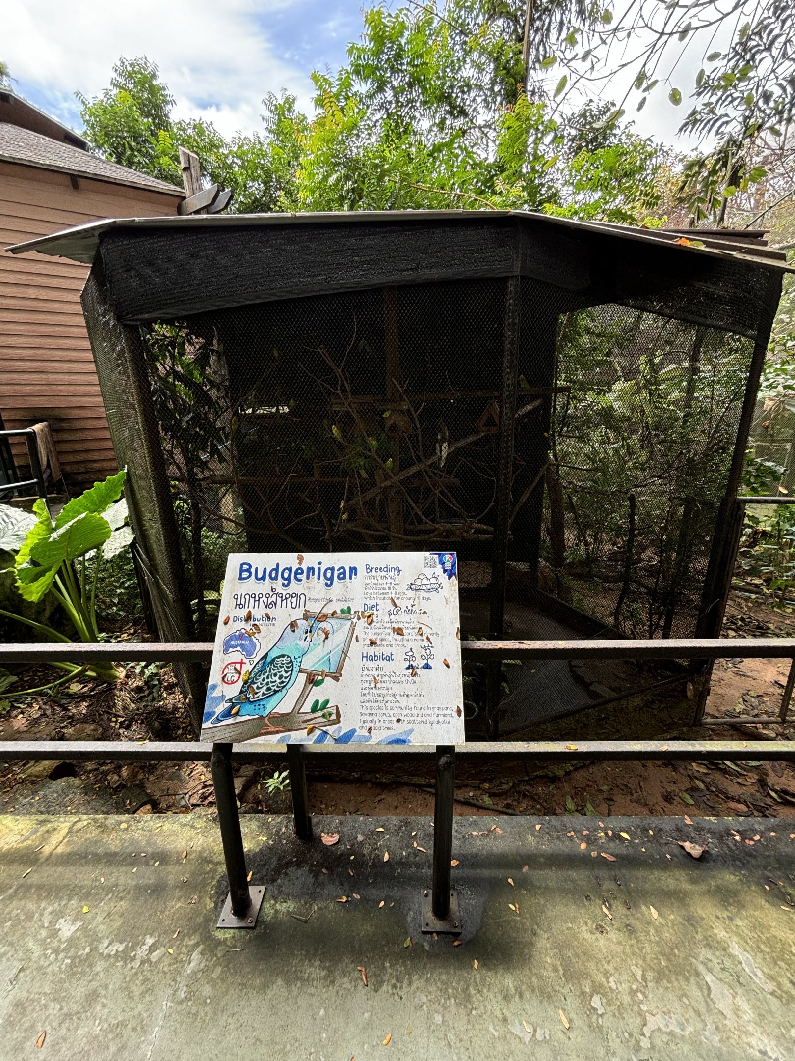 Budgie Aviary