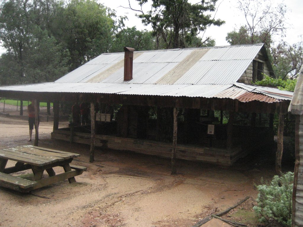 Budgie/Cockatiel building