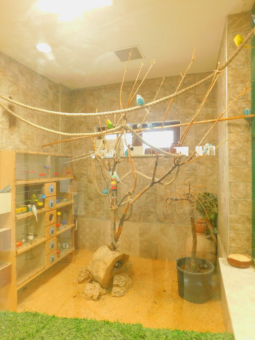 Budgie Enclosure at the Karatay Zoo