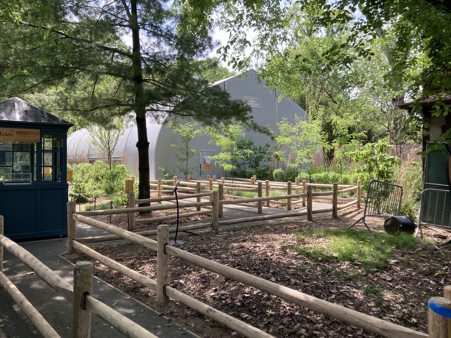 Budgie Experience Entrance Sneak Peek