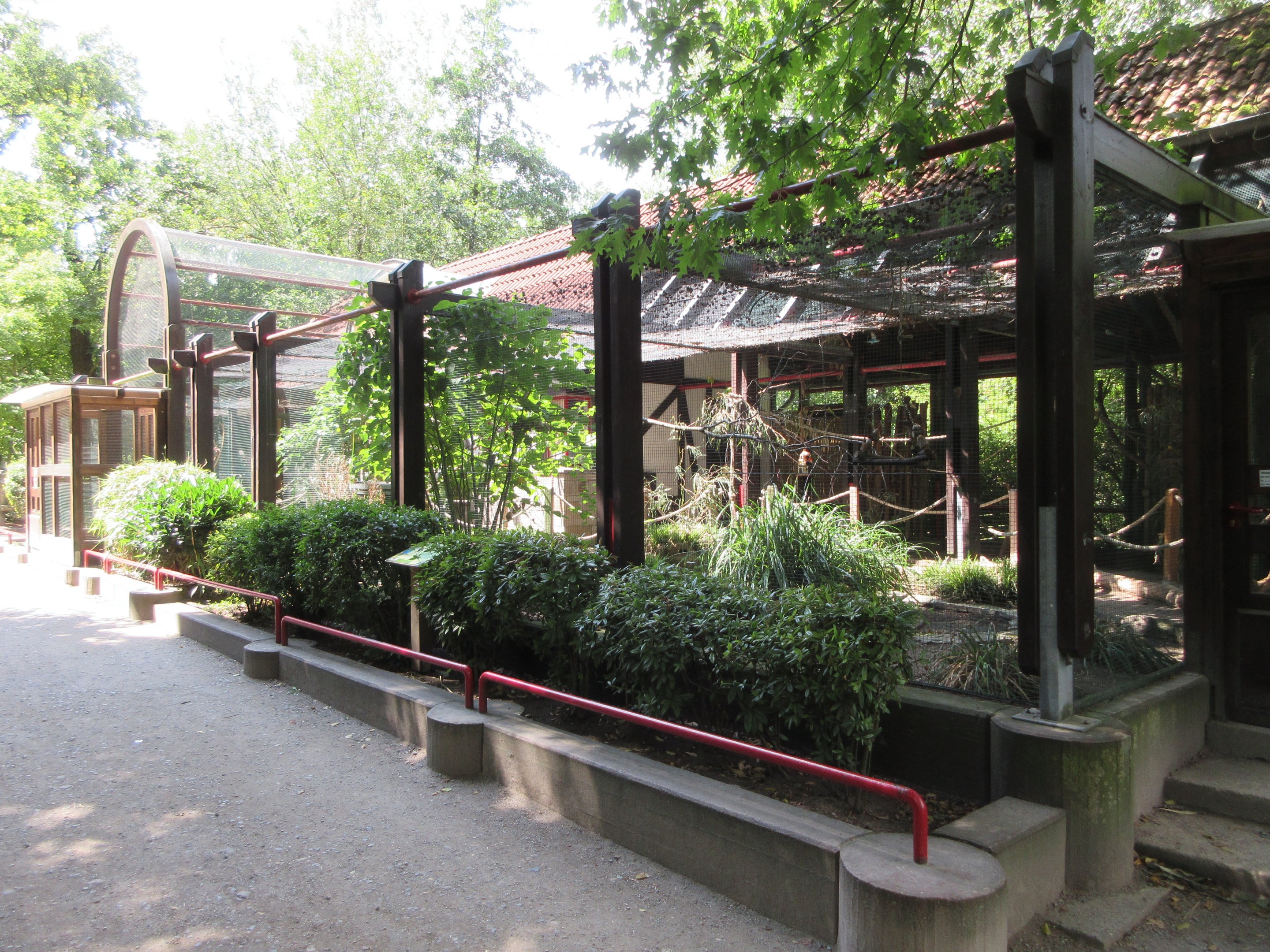 Budgie Walk-through Aviary