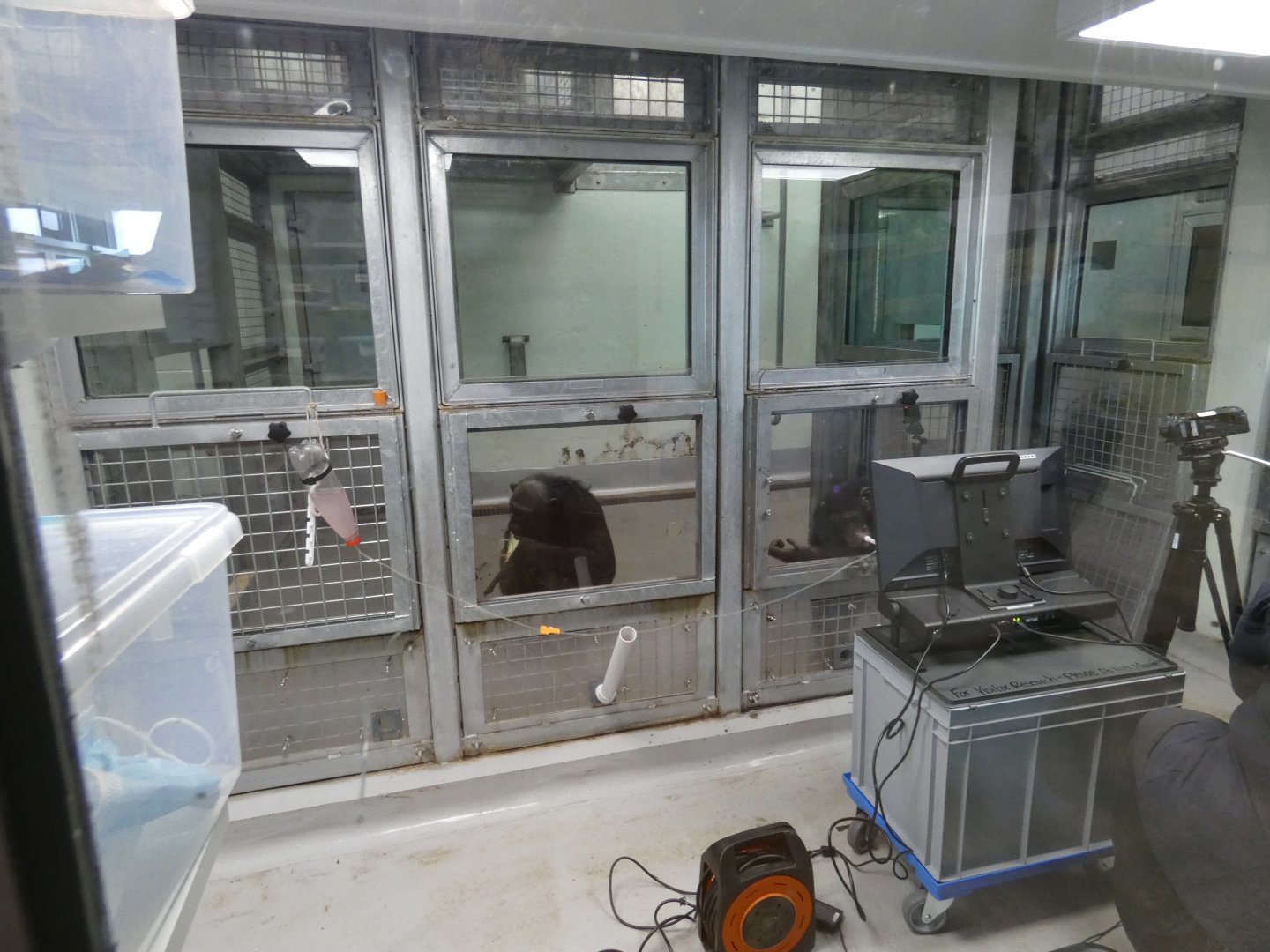 Budongo Research Unit