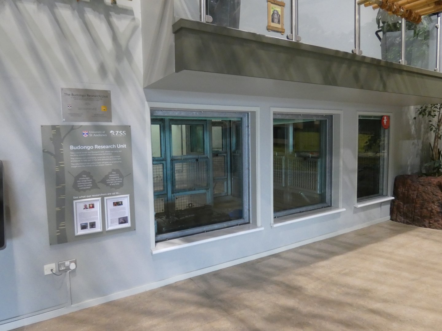 Budongo research unit