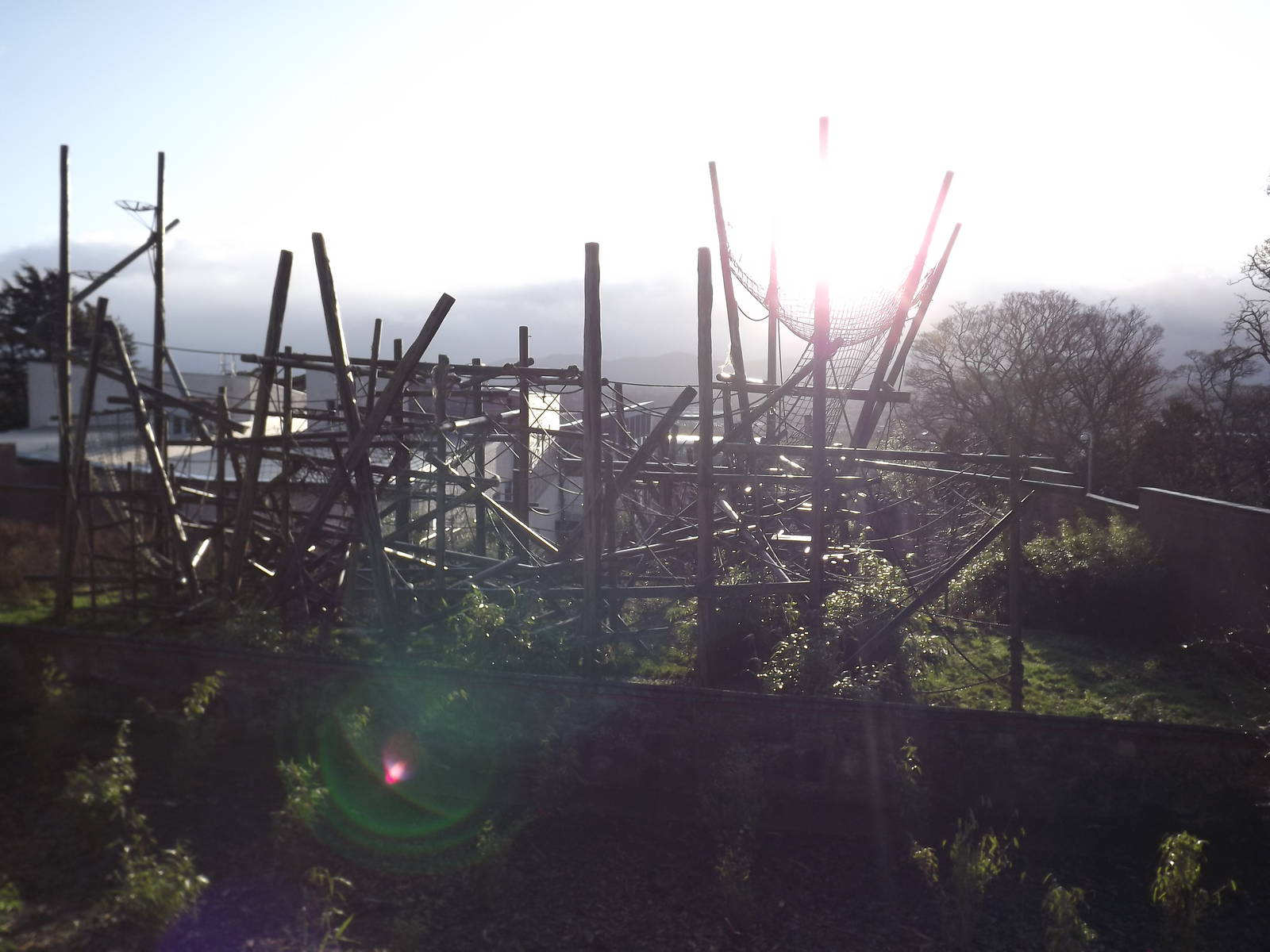 Budongo trail at Edinburgh Zoo 28/12/11