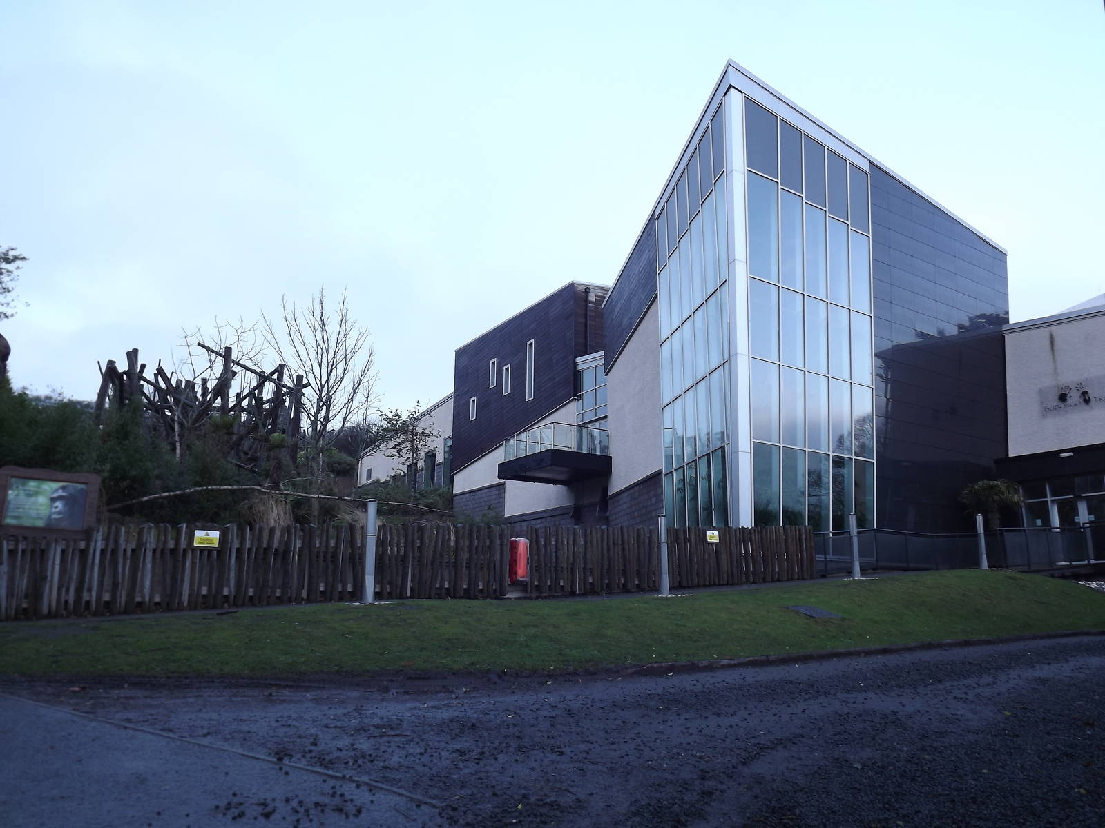 Budongo trail at Edinburgh Zoo 28/12/11