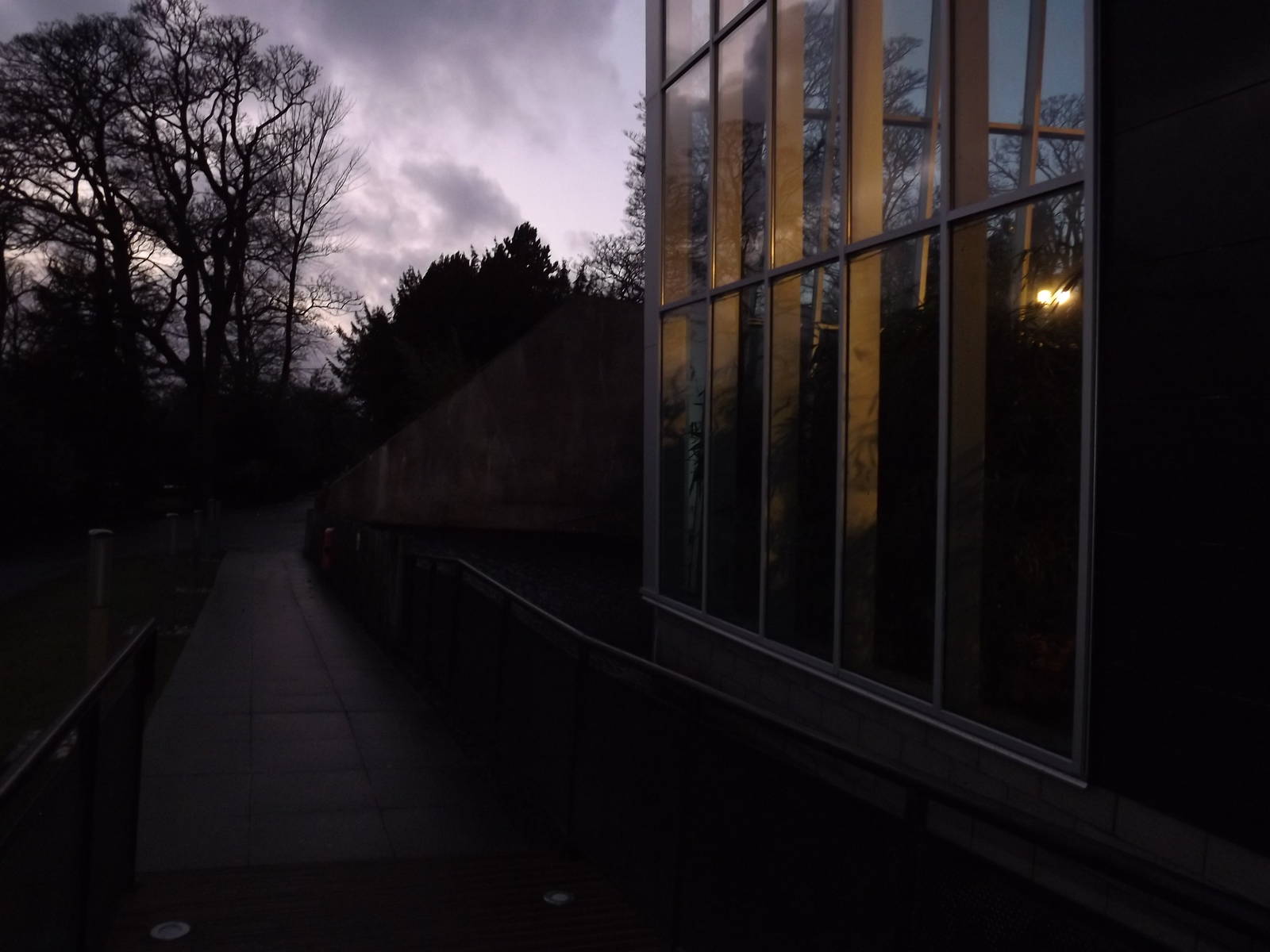 Budongo trail at Edinburgh Zoo 28/12/11