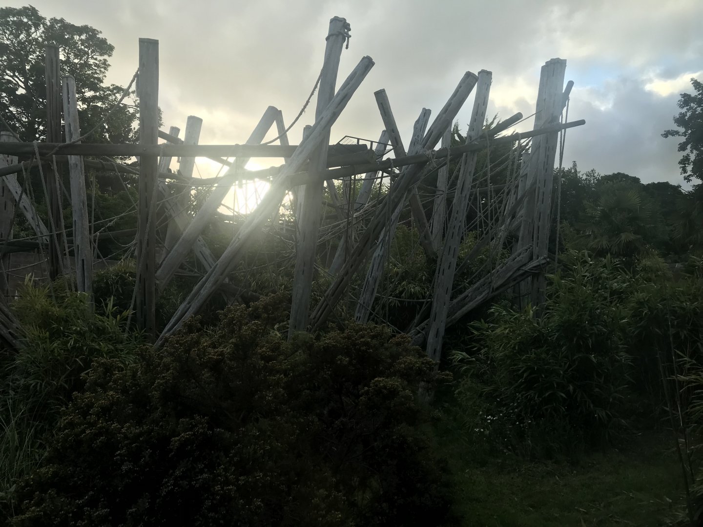 Budongo Trail- Chimpanzee enclosure (2)