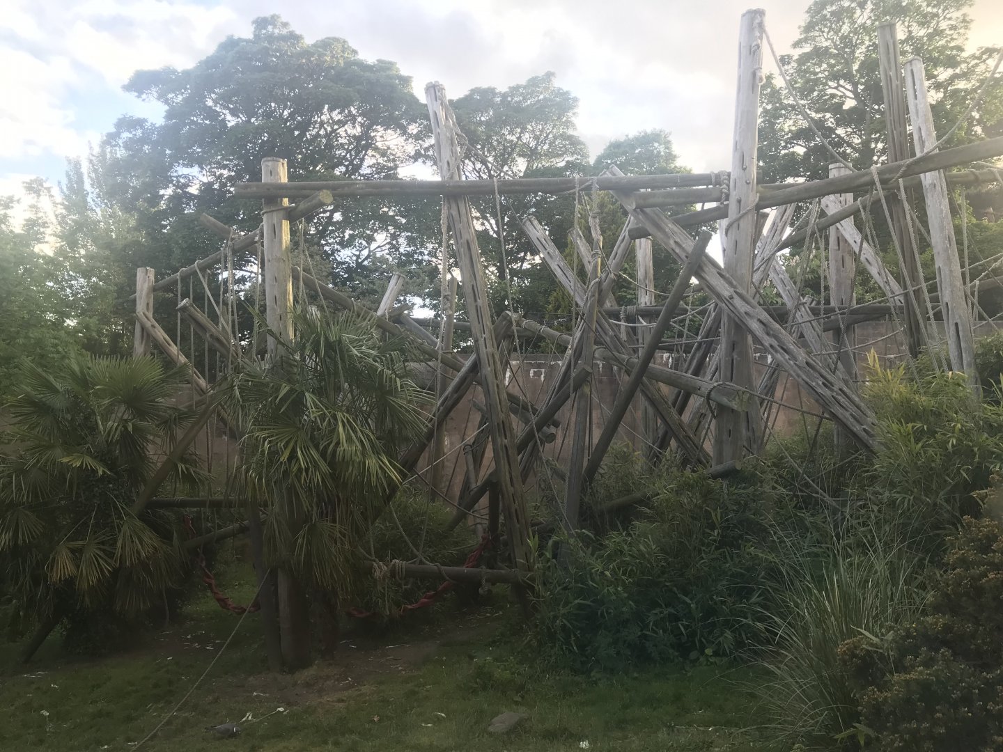 Budongo Trail- Chimpanzee enclosure