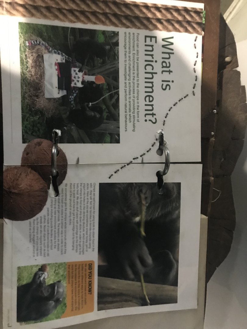 Budongo Trail- Chimpanzee enrichment signage