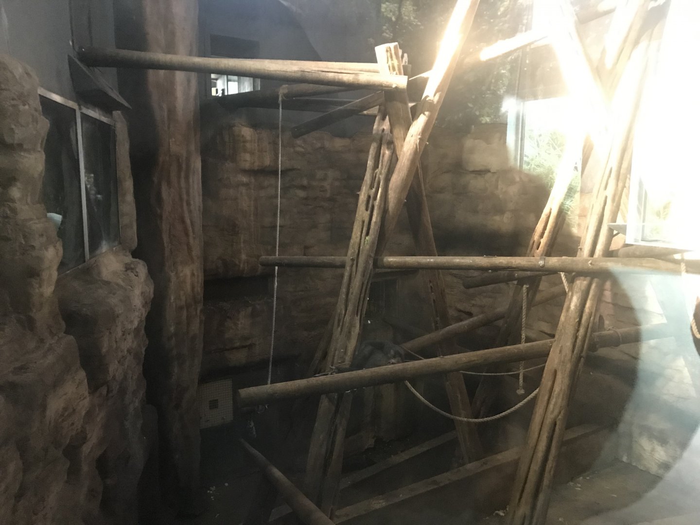 Budongo Trail- Chimpanzee indoor pod 1