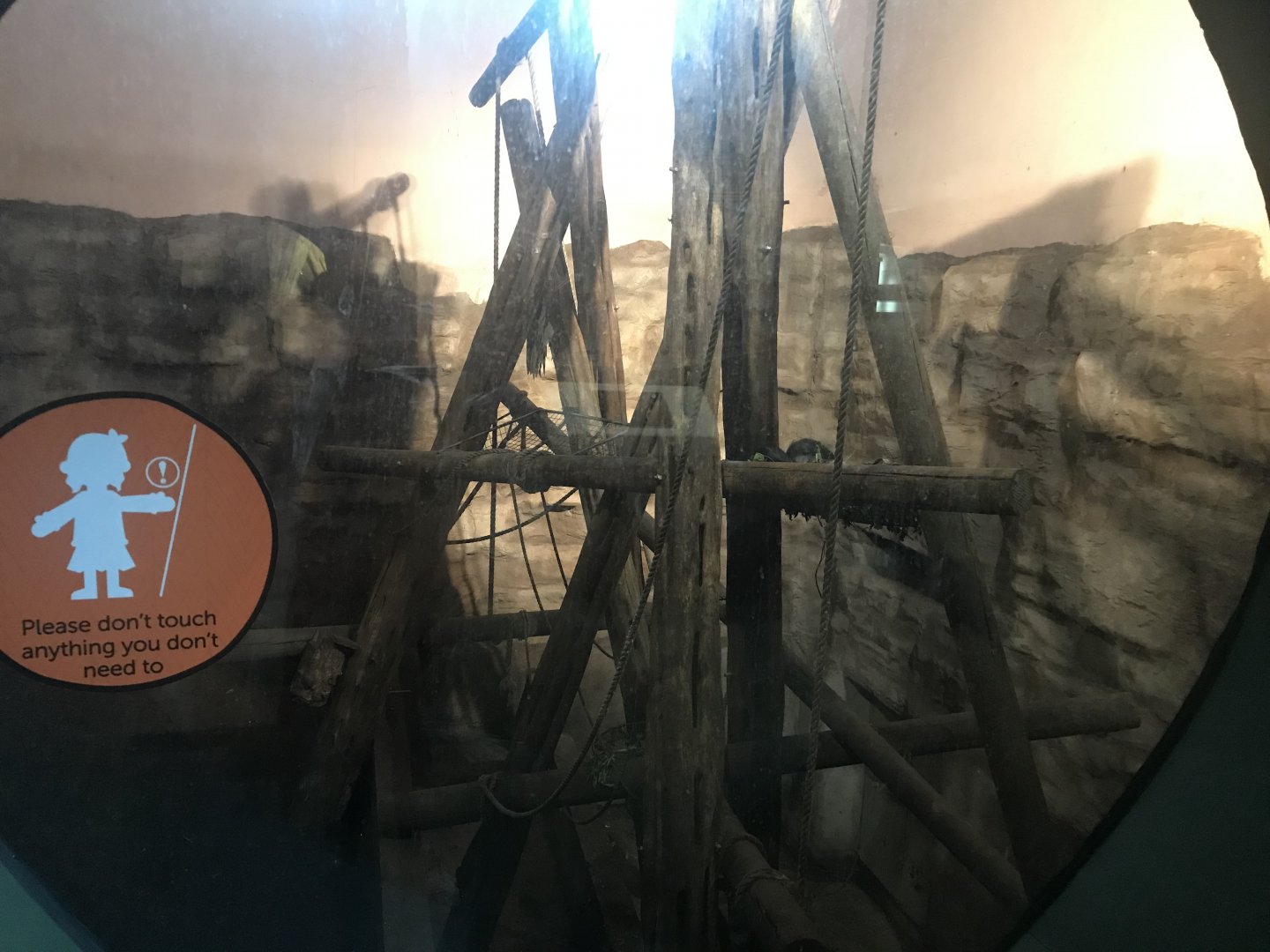 Budongo Trail- Chimpanzee indoor pod 2