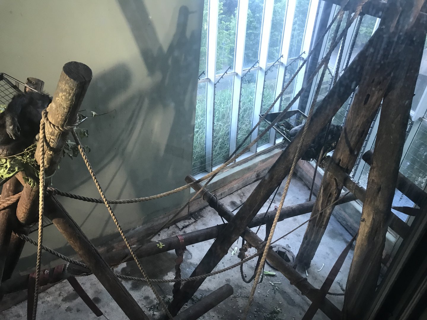 Budongo Trail- Chimpanzee indoor pod 3 (2)