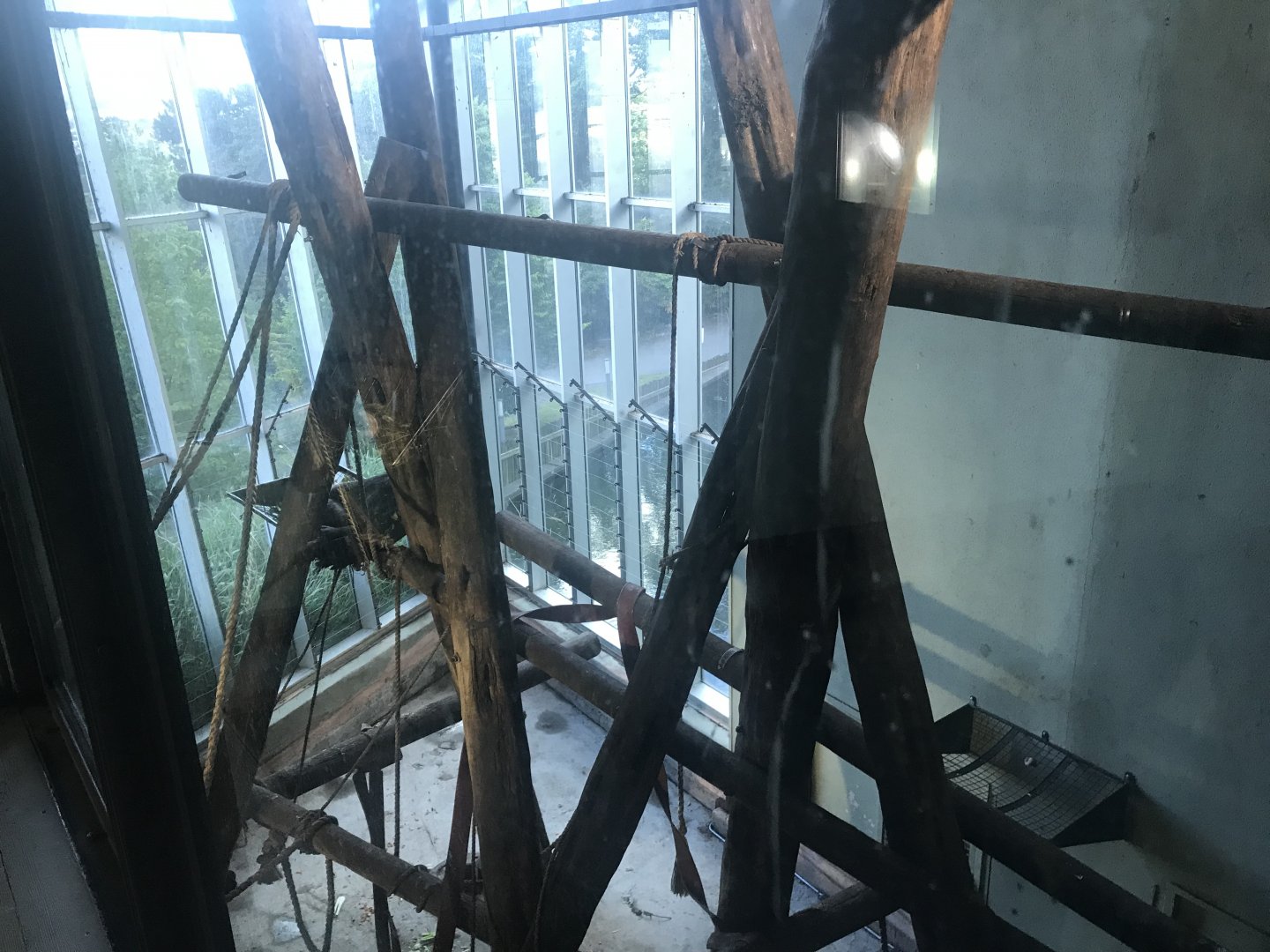 Budongo Trail- Chimpanzee indoor pod 3