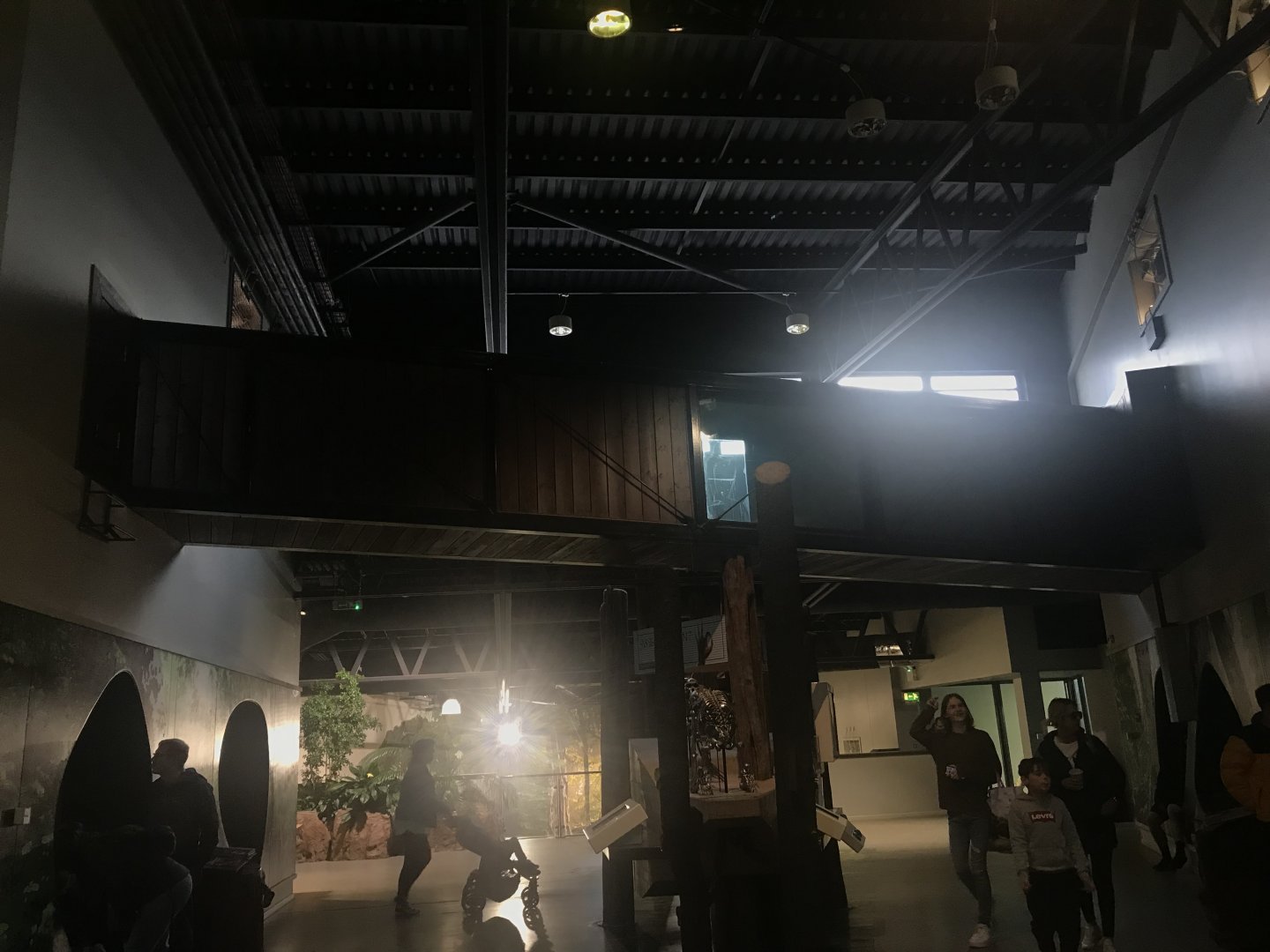 Budongo Trail- Chimpanzee overhead tunnels