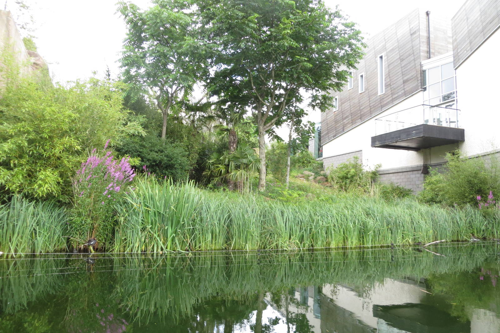 Budongo Trail - outdoor exhibit 240815