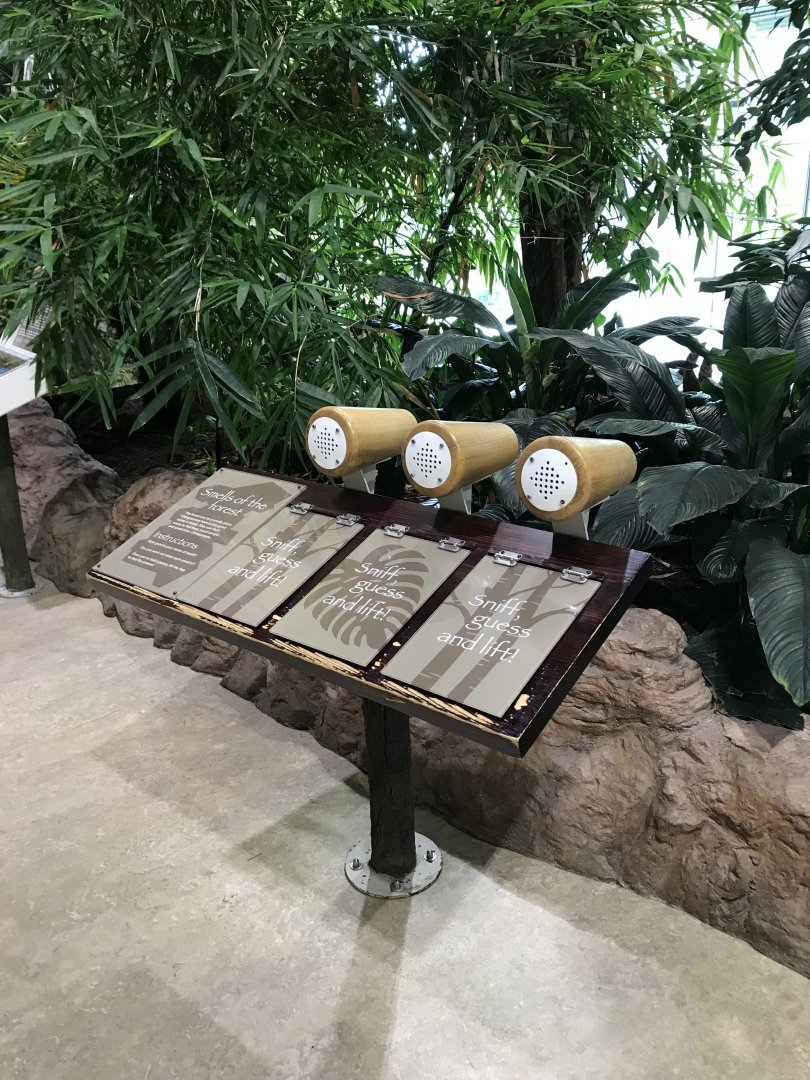 Budongo trail Smelling sign