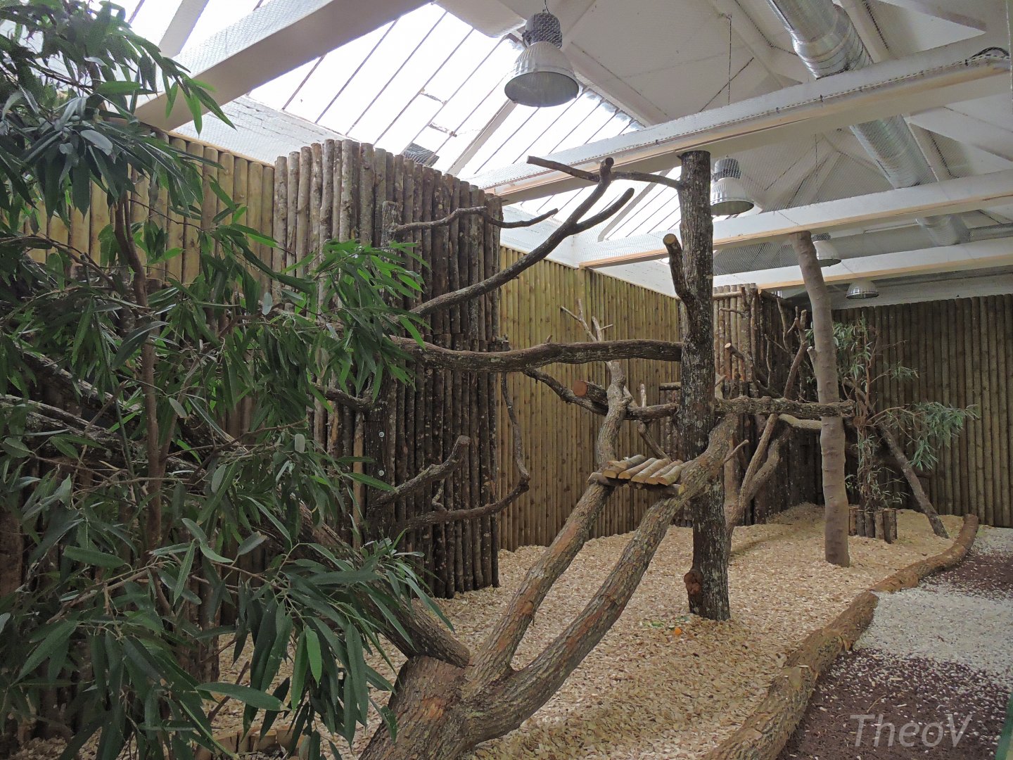 Buergers' tree-kangaroo exhibit [2015]