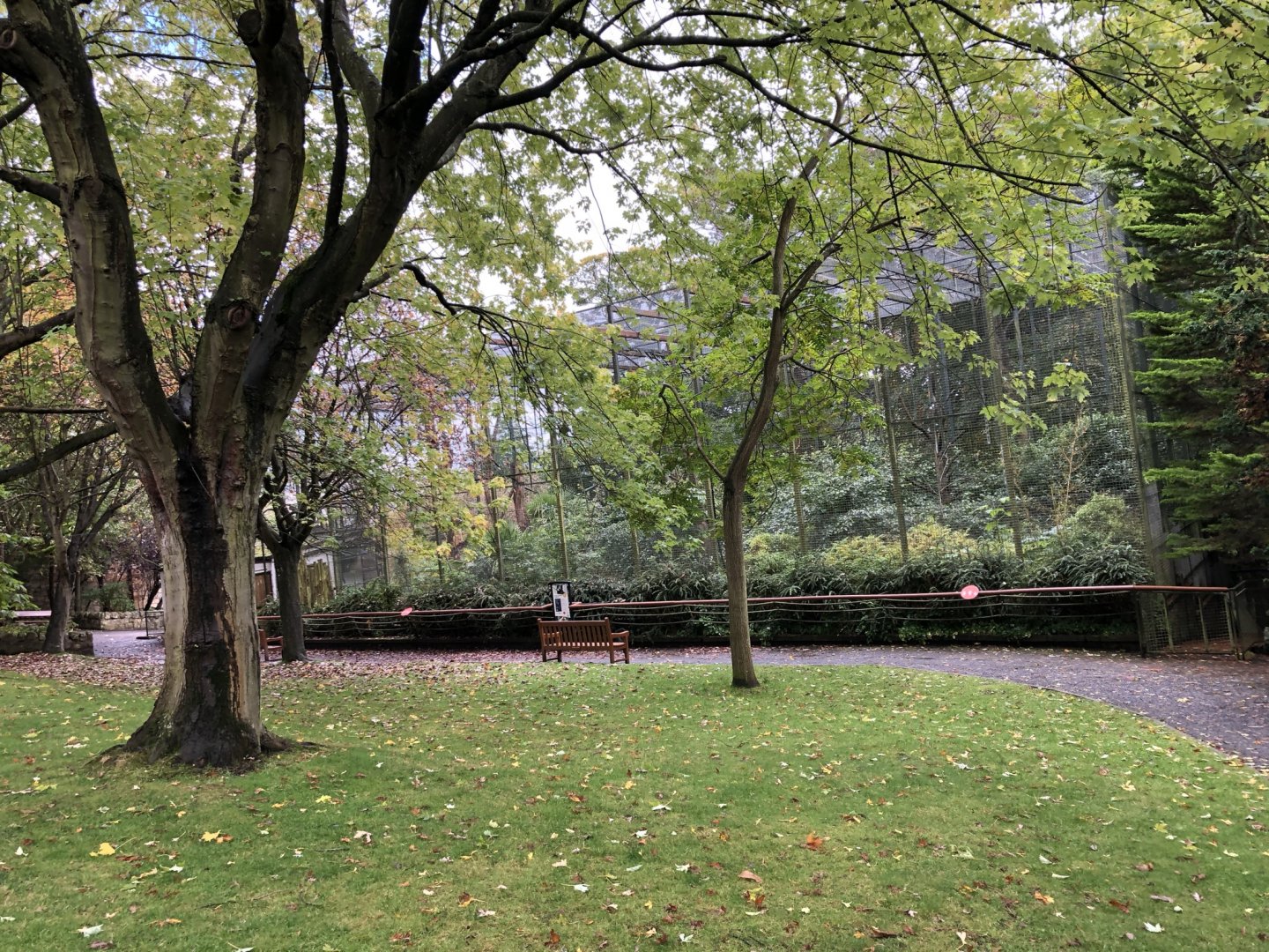 Buff-cheeked Gibbon Enclosure at Edinburgh Zoo (2020)