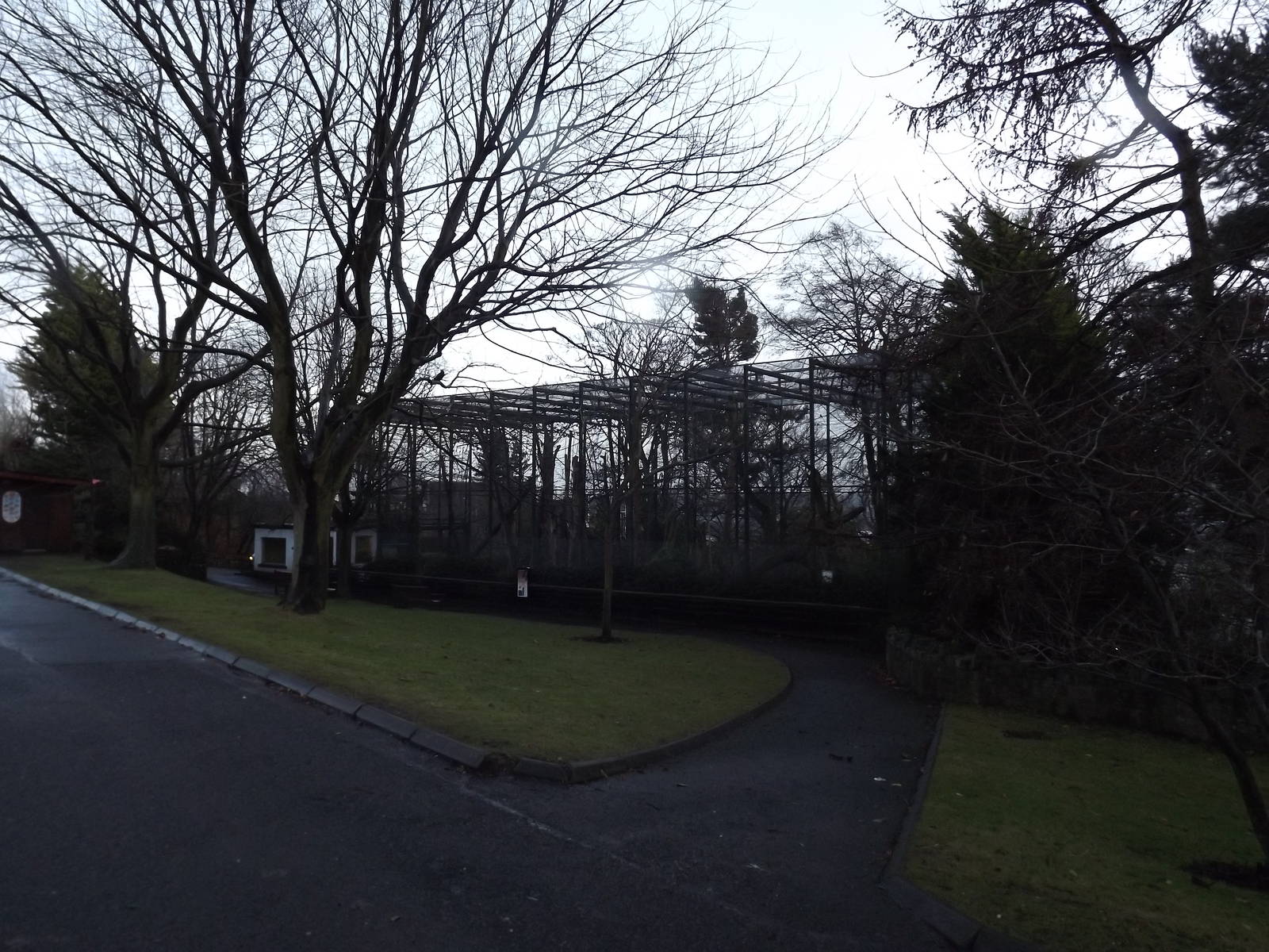 Buff cheeked gibbon enclosure at Edinburgh Zoo 28/12/11