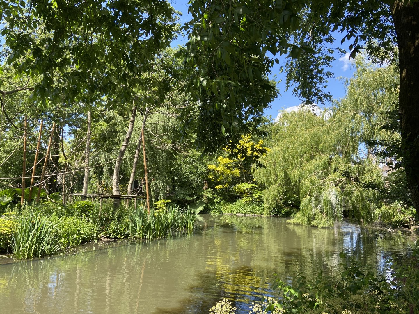 Buff-cheeked gibbon enclosure - island linked to house by overhead passage