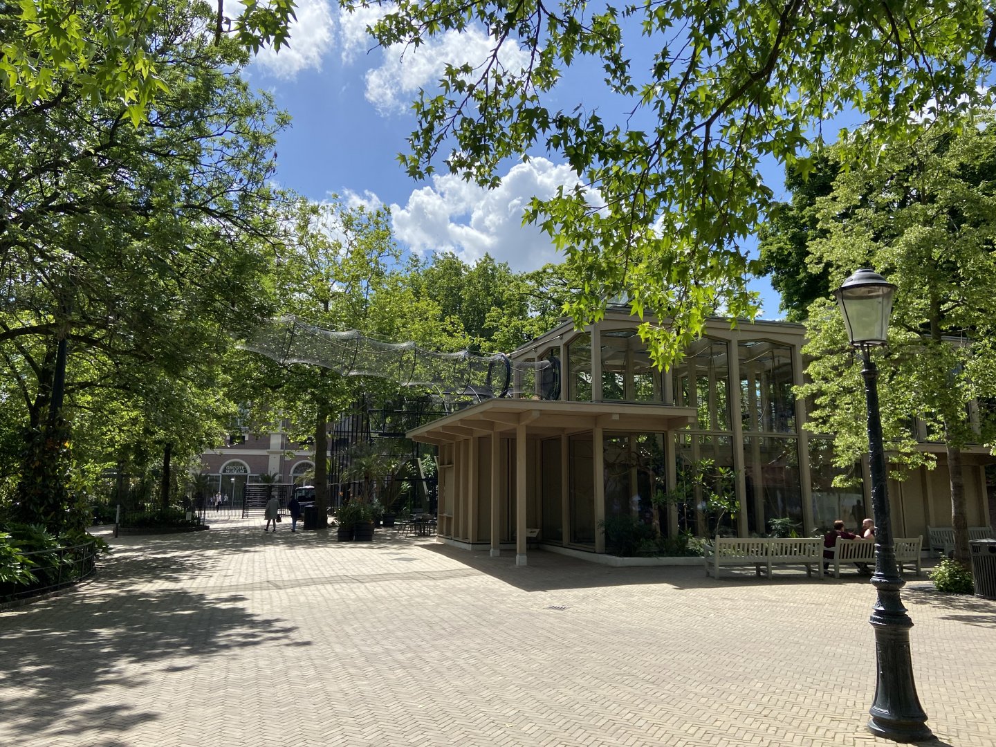 Buff-cheeked gibbon enclosure - island linked to house by overhead passage