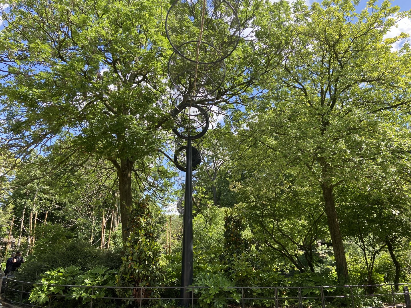 Buff-cheeked gibbon enclosure - island linked to house by overhead passage