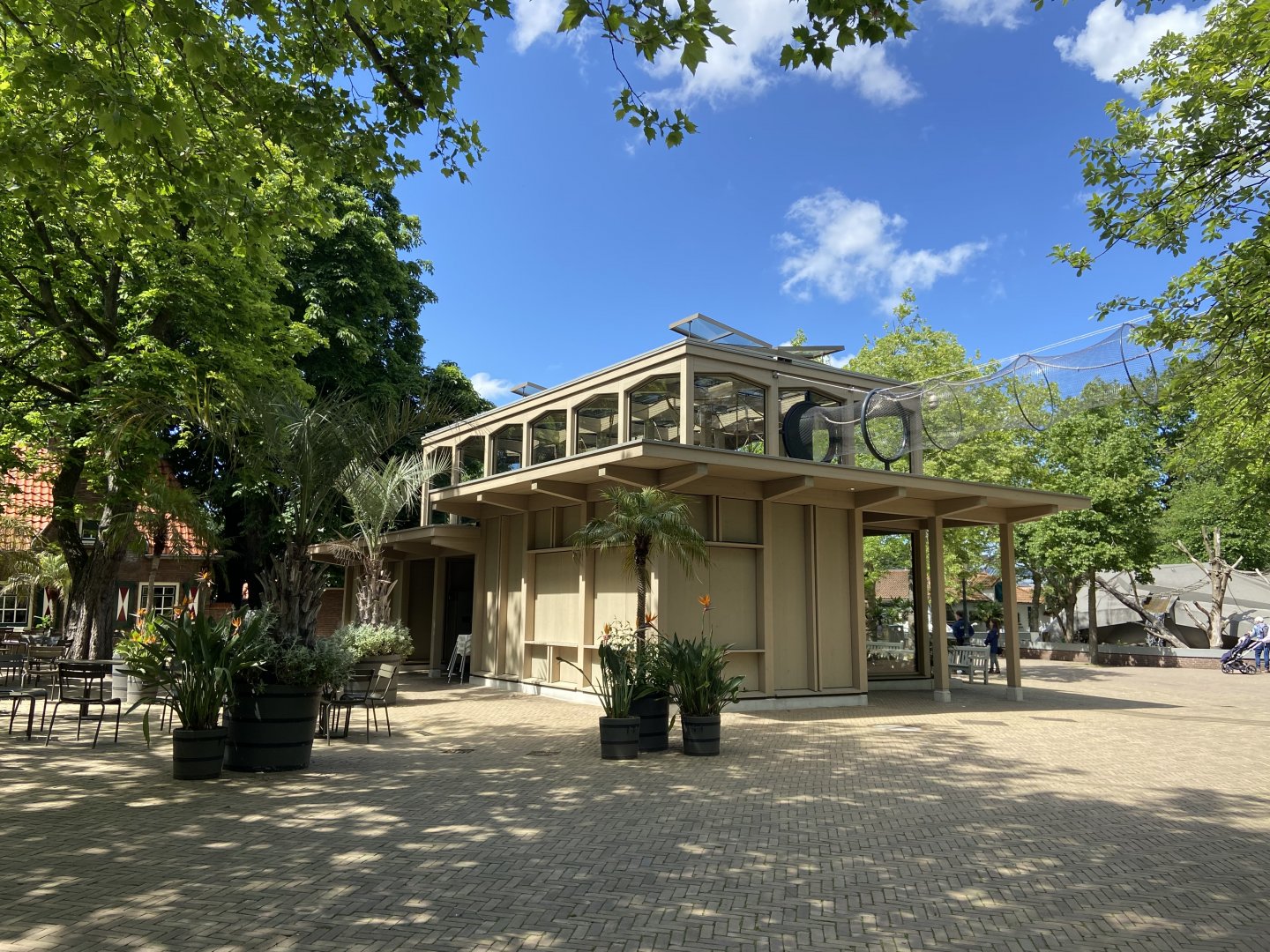 Buff-cheeked gibbon enclosure - island linked to house by overhead passage