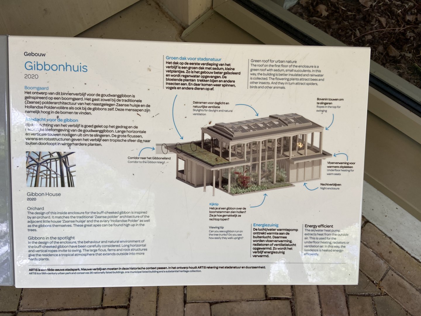 Buff-cheeked gibbon enclosure - island linked to house by overhead passage