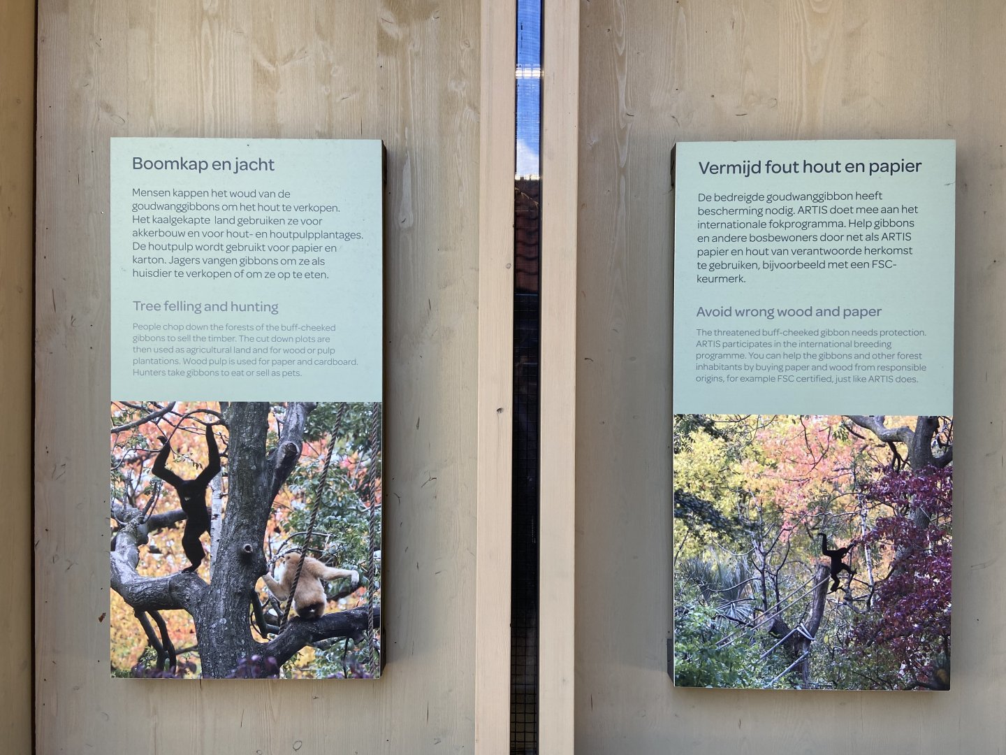 Buff-cheeked gibbon enclosure - island linked to house by overhead passage