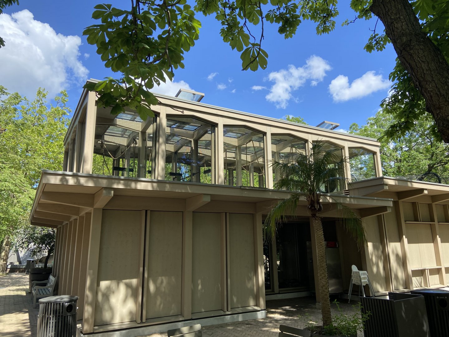 Buff-cheeked gibbon enclosure - island linked to house by overhead passage