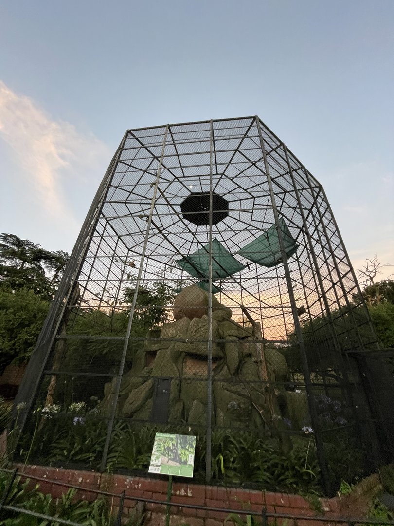 Buff-cheeked Gibbon Enclosure (Nomascus gabriellae)