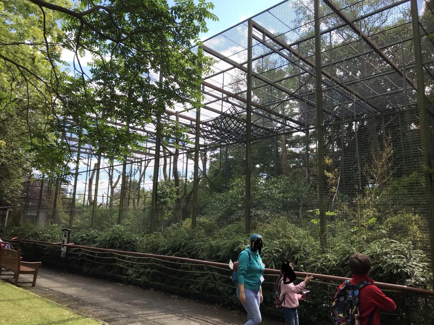 Buff- cheeked gibbon enclosure