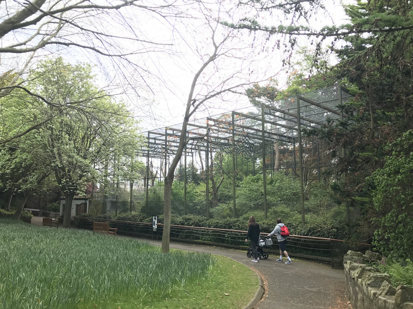 Buff- cheeked gibbon enclosure