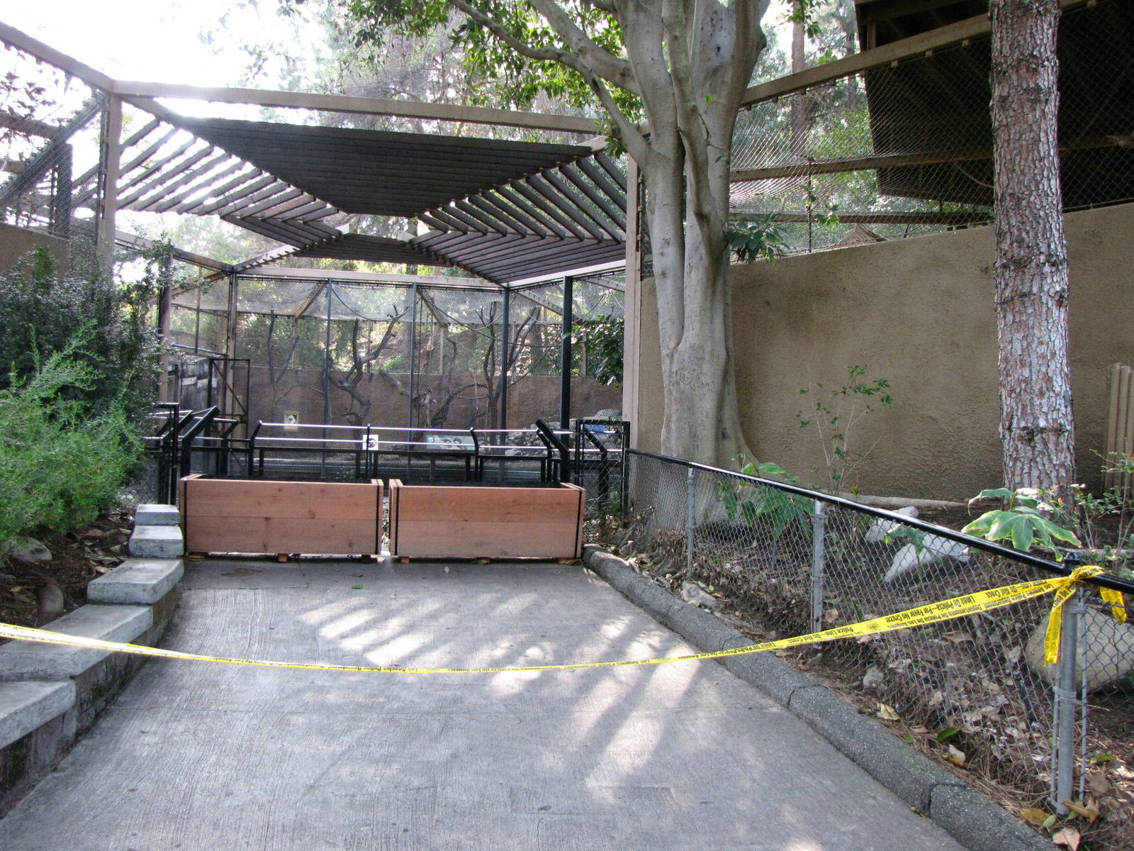 Buff-cheeked Gibbon Exhibit Closed