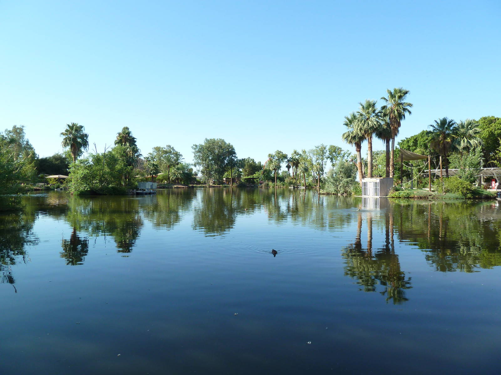 Buff-Cheeked Gibbon Island - Lake View
