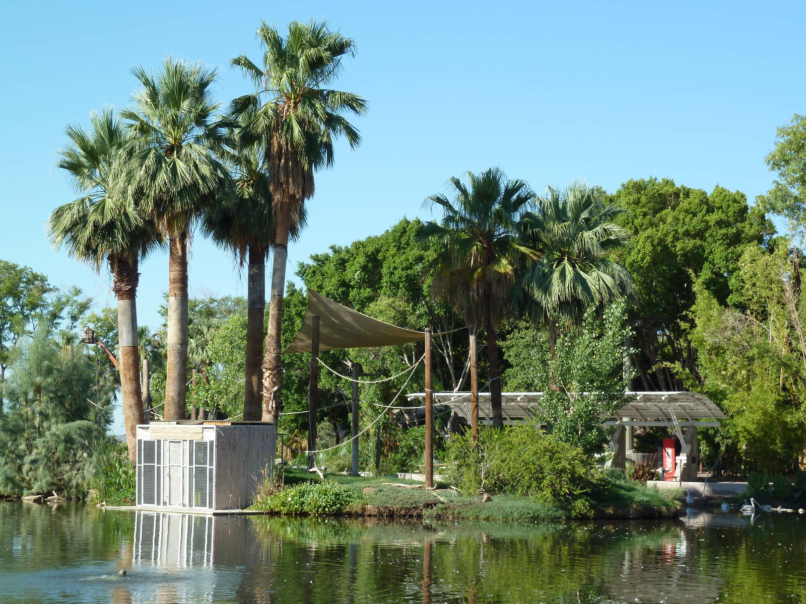 Buff-Cheeked Gibbon Island
