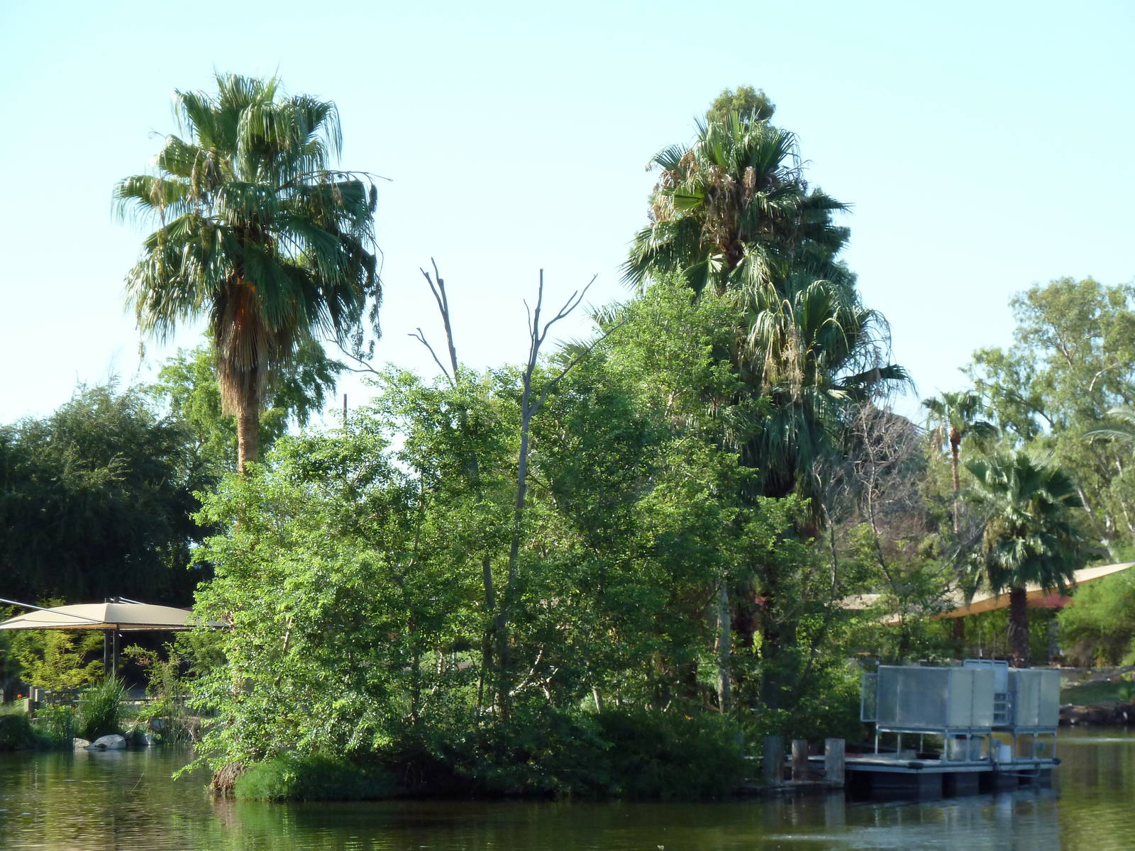 Buff-Cheeked Gibbon Island