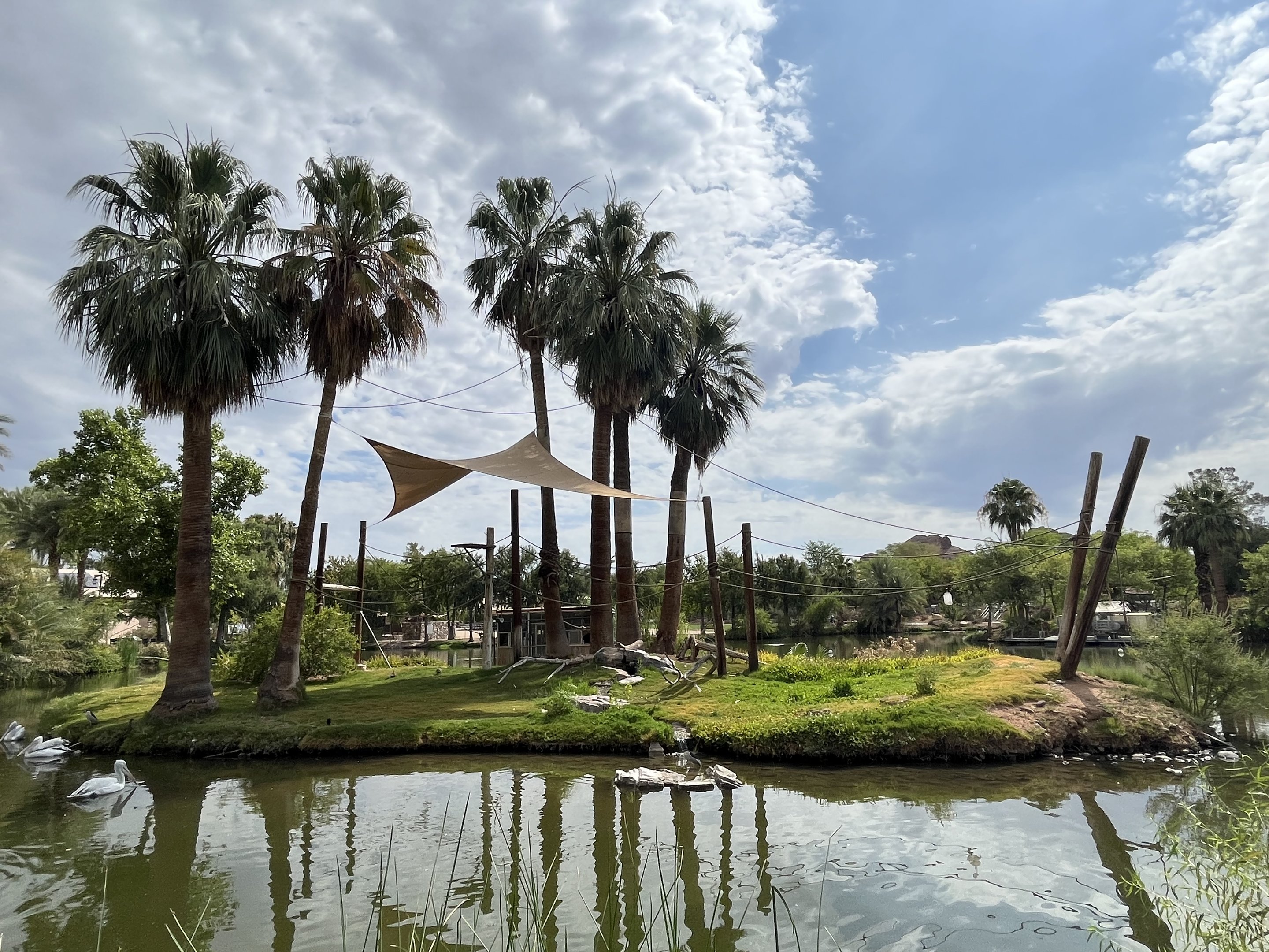 Buff-cheeked Gibbon Island