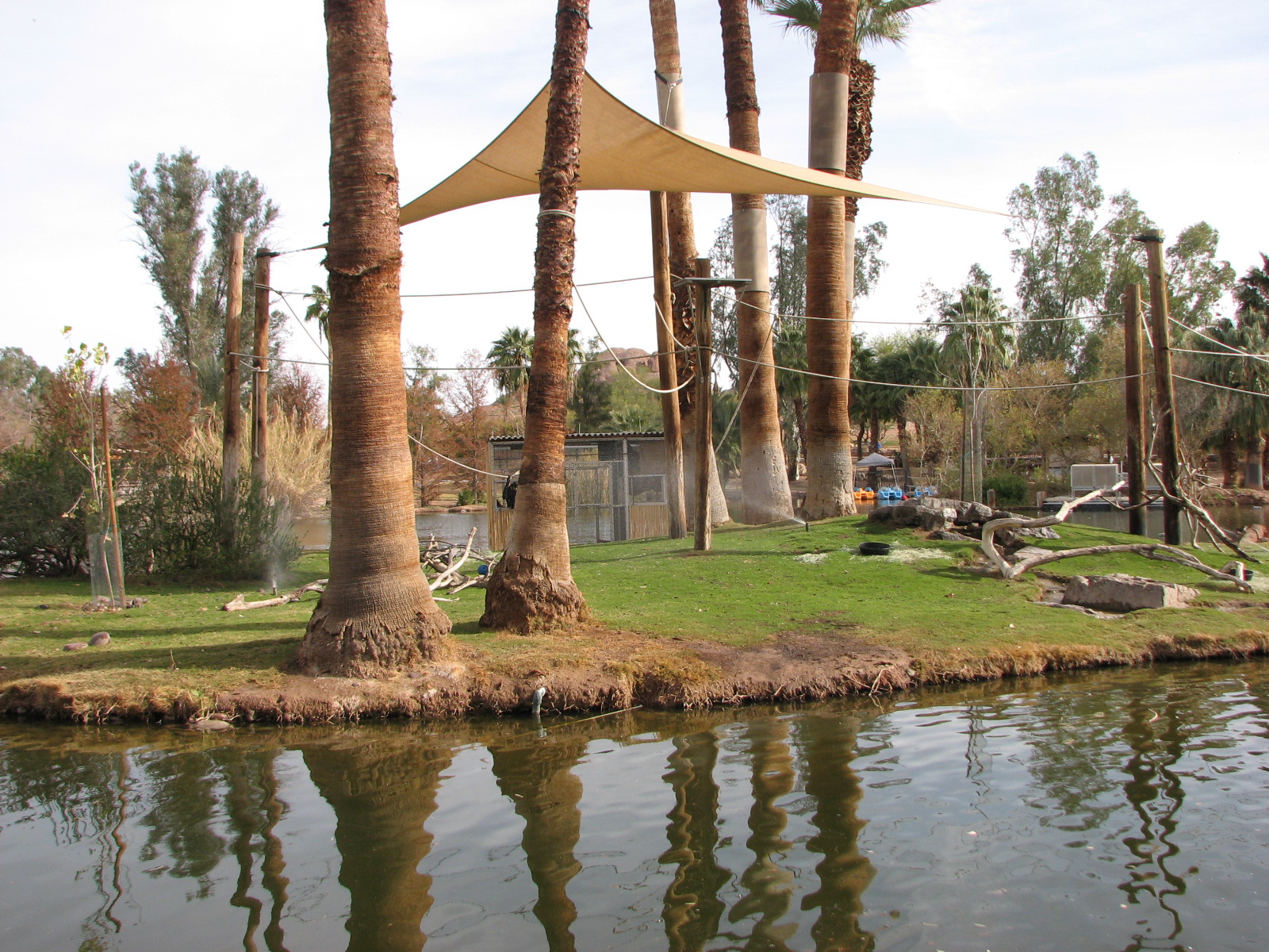Buff-Cheeked Gibbon Island