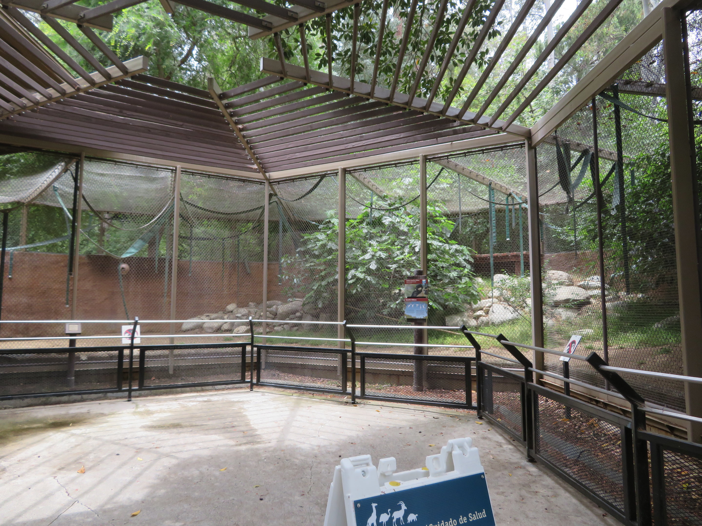 Buff-cheeked Gibbon Roundhouse