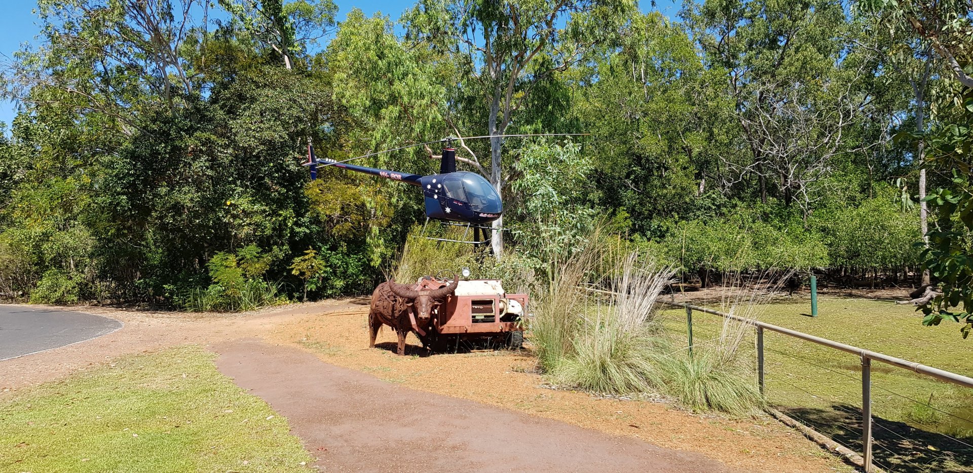 Buffalo catching equiptment display