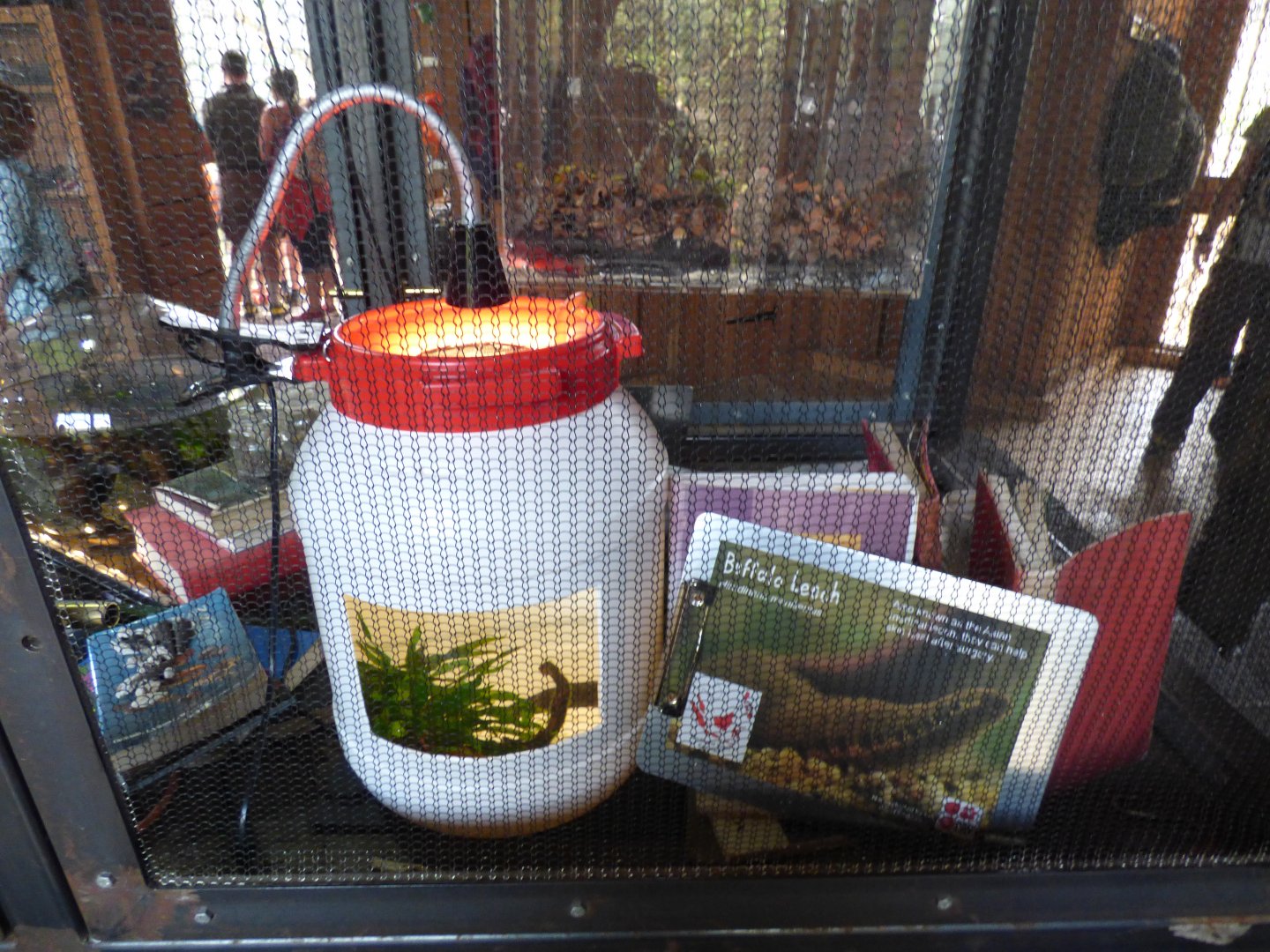 Buffalo Leech Exhibit